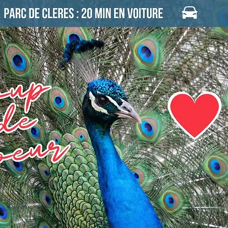 Voyage Au Calme à 10 Minutes Du Centre Avec Parking Inclus Et Fibre, Idéal Solo Et Pro Appartement Rouen