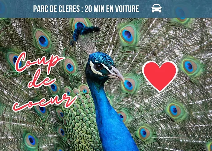 Voyage Au Calme A 10 Minutes Du Centre Avec Parking Inclus Et Fibre, Ideal Solo Et Pro Apartment Rouen